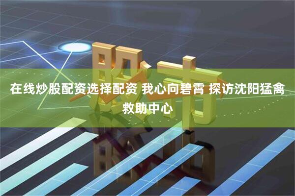 在线炒股配资选择配资 我心向碧霄 探访沈阳猛禽救助中心